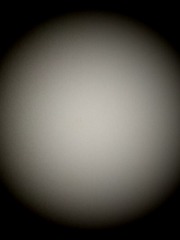293951