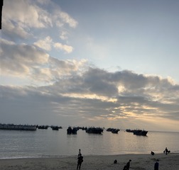 8B2ED403-D23C-4D83-A90C-350C3DA9530B/L0/001
