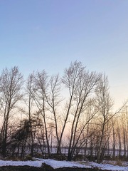 7782E52A-F114-4B9C-AAB4-AF815302ED66/L0/001