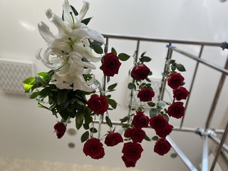 22F7C6D3-A200-4817-8E15-70A2BD574BCB/L0/001