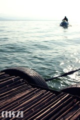 IMG_5764.JPG