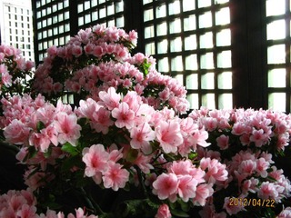 IMG_0457.JPG
