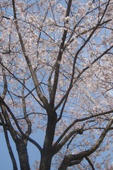 486F79C9-CE75-4749-819E-2307800DEE50/L0/001