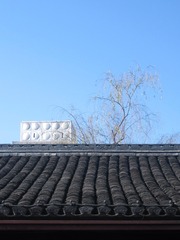B0B09469-9CDE-4525-BA5A-FB4D2CB1AFB2/L0/001