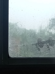 27477