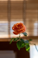 98818