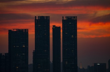 202253