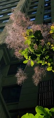 0B7859BF-0EE0-4566-A4E8-E4C4A651788E/L0/001