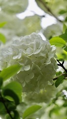 79939BB4-5F50-4FB5-9228-811A96046CCC/L0/001