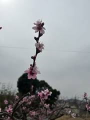 29B4BABA-8FAB-4B86-AB2B-998C490DF9A6/L0/001