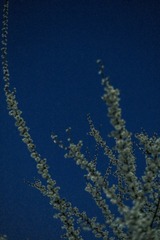752CAF61-EC8F-460C-9130-73E8F4C21B40/L0/001