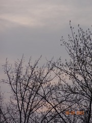 BA1D8972-C9D8-4B73-85BF-0E0D64DA0035/L0/001