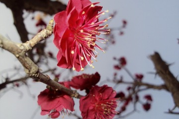 97611B87-652A-4F16-8D3E-B6FCF2BA1834/L0/001