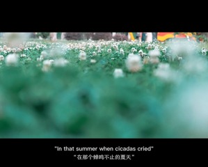 CCF4F926-411D-4E6C-9925-27E3435B4AAB/L0/001
