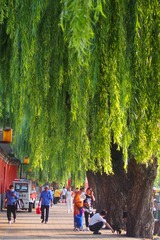 6E391A50-F55A-4922-9424-6C03C8A0FC02/L0/001