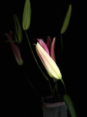 EDBCC3E7-5170-4BF6-877A-437C8ECE0F9E/L0/001
