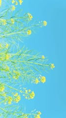 D05B8DD2-045D-4CD0-B1C7-6471AB5B4CFB/L0/001