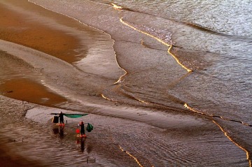 赶海