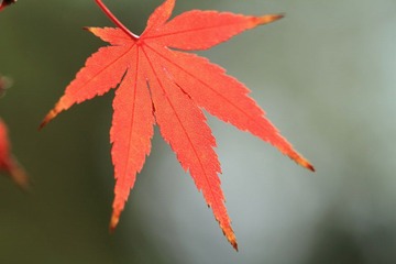 荷花池公园