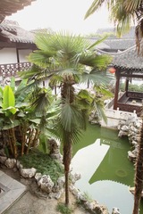 何家花园