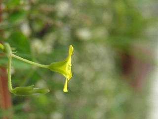 P4300021.JPG