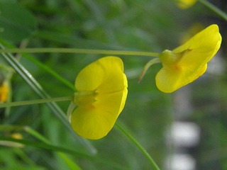 P4300024.JPG