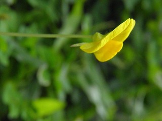 P4300026.JPG