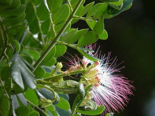 P4300033.JPG