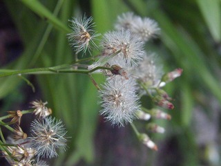 P4300048.JPG