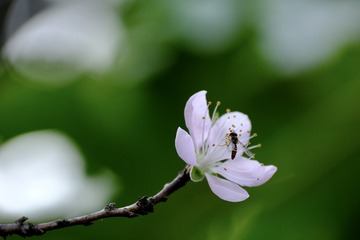 022FF188-FC91-4D56-8169-F17C4D6C5349/L0/001