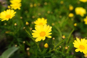 92D2E790-6F0B-41C4-8BC8-FCC155FA1AE1/L0/001