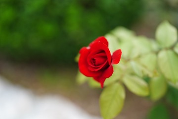 F2B157AE-B965-43F6-B85F-56C00F18B6ED/L0/001