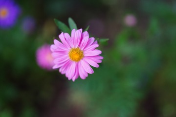 07493E10-5BA7-480C-BBA7-275B6116EB78/L0/001