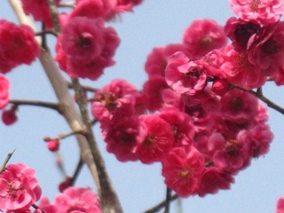 55EBFA1C-D8F5-49F0-A210-563010B1521B/L0/001