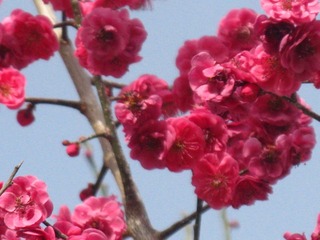 D3FD39C1-57C6-47DE-A2F9-A763C0229281/L0/001