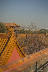 CE40D3AB-8395-4E2F-8BFB-87C97A21D7F7/L0/001