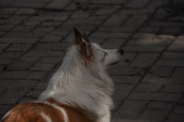 1B047DCF-E7E9-45EF-92EF-526F3AAB3830/L0/001