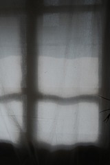 80789581-13D8-43C3-AA4A-3C4890BFE069/L0/001