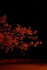26241AB6-75AD-47E4-9DE5-8629A8F775A0/L0/001