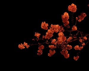 708DC77E-88D7-4800-927E-C5CE3D599FDC/L0/001