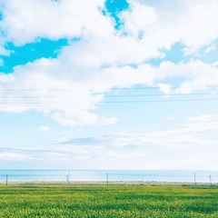 A4EF243C-A0AE-4EC8-B6B9-F2424D091575/L0/001