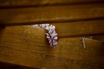 203E927E-1B6F-4ED7-8AB3-8F8144AD313E/L0/001
