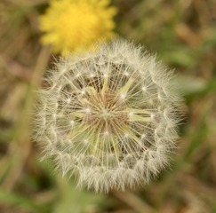 1915A0B0-75DF-4BFC-A3B9-0D4DFAB2C846/L0/001