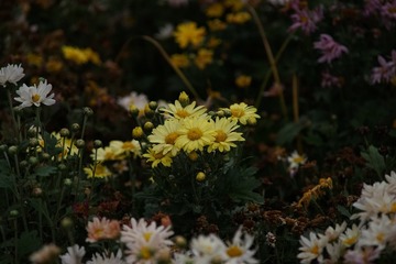 86E6AEEA-1308-4486-B818-E29EF786E7AB/L0/001