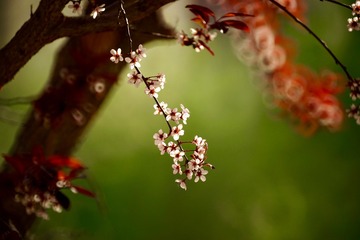 0FEECAB7-D0D8-44AB-97F3-F149D6233FBF/L0/001