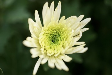 91ED1C4A-14E2-468D-993A-6719CDE9C826/L0/001