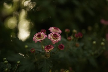 7E68FF27-D1DD-4FD3-ABA1-21BEA7087151/L0/001