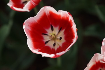 103DD656-3F34-4968-9A98-B3F962950627/L0/001