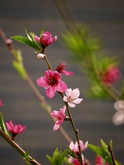 189B760A-17D7-4794-94B8-C1200D99C8D1/L0/001
