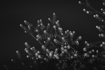 D072DDA3-2BD6-476A-8A9F-8E7A6614DAA8/L0/001